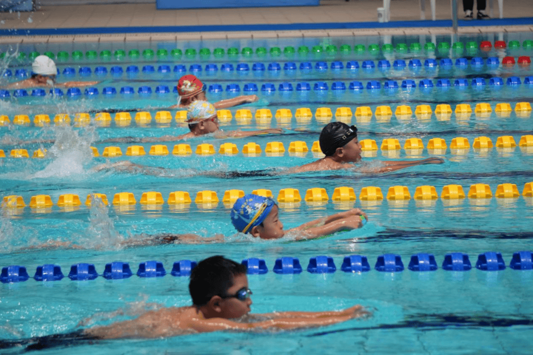 游泳淘汰赛焦点战：皖南雄狮队鏖战漠南雷豹队，新星闪耀。年轻人站出来了(小灰狗被霸凌原因)