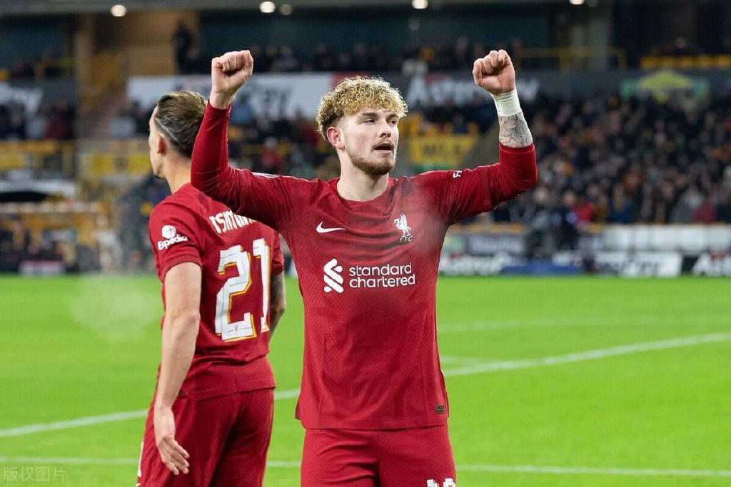  井冈山的斗争精选 