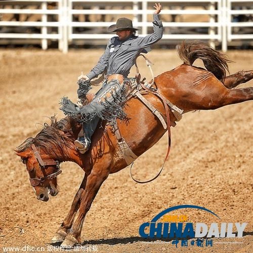 蜂鸟电竞-Karsa赛事官方发布败北新规，加拿大队争议不断！的简单介绍